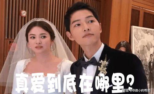 娱乐圈老板吃瓜事件,揭秘幕后真相与惊人内幕